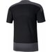 Koszulka męska teamGOAL 23 Training Jersey Puma - czarna