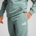 Spodnie dresowe męskie Sweatpants Sport Puma - Green Moon