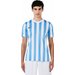 Koszulka męska Striped Division IV Jersey Nike - biała/jasnoniebieska