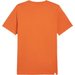 Koszulka męska Better Sportswear Tee Puma - Maple Syrup