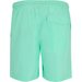 Spodenki kąpielowe męskie Mackleyna Regatta - ice green