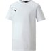 Koszulka juniorska teamGOAL 23 Casuals Tee Puma - biała