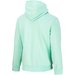 Bluza męska Heavy Spring Poly Terry Hooded Champion - miętowa