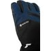 Rękawice narciarskie Booster Gore-Tex Reusch - black/blue