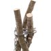 Zestaw do gotowania Bushcraft Diy Tripod Robens