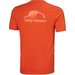 Koszulka męska Nord Graphic T-Shirt Helly Hansen - patrol orange