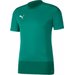 Koszulka męska teamGOAL 23 Training Jersey Puma - zielona