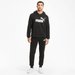 Spodnie dresowe męskie ESS Slim TR Puma - black