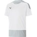 Koszulka juniorska teamGOAL 23 Training Jersey Puma - biała/szara