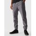 Spodnie dresowe męskie 4FWMM00TTROM0944 4F - szary