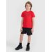 Koszulka chłopięca TFTSM1209 4F - czerwony