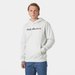 Bluza męska Core Graphic Sweat Hoodie Helly Hansen - nimbus cloud