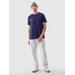 Koszulka męska TTSHM2061 4F - granat