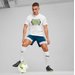 Koszulka męska Neymar Jr Football Tee Puma - White