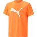 Koszulka juniorska Active Sports Poly Cat Tee B Puma - pomarańczowy