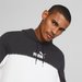 Bluza męska Ess BlockxTape Hoodie Puma - black