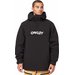 Kurtka snowboardowa męska TNP Insulated Anorak Oakley - Blackout