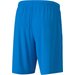 Spodenki męskie teamGOAL 23 Puma - niebieskie