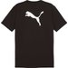 Koszulka męska teamRise Logo Jersey Puma - czarna