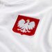 Koszulka męska Polska Modern GSP AUT Nike - biała