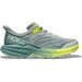 Buty do biegania Speedgoat 5 Wm's HOKA - Mercury / Trellis