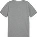 Koszulka męska teamGoal Casuals Tee Sport Puma - Medium Gray Heather
