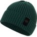 Czapka Beanie Velcro Logo Pitbull West Coast - green