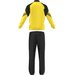 Dres męski Sereno 14 Adidas - żółty