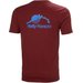 Koszulka męska Nord Graphic T-Shirt Helly Hansen - mars red