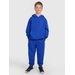Bluza chłopięca TSWSM1945 4F - kobalt