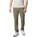 Spodnie trekkingowe męskie Tech Trail Utility Pant Columbia - Stone Green