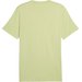 Koszulka męska Open Road Mountain Graphic Tee Puma - Pistachio