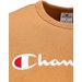 Bluza męska Crewneck Sweatshirt Logo Champion - brązowy