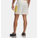 Spodenki męskie Trail Run 5'' Under Armour - Stone / Reflective