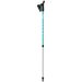 Kije nordic walking Ritmo Gabel - teal
