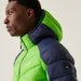 Kurtka puchowa męska Hooded Dalent Regatta - green flash/navy