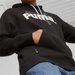 Bluza męska Team Graphic Hoodie Puma