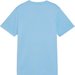 Koszulka juniorska teamGoal Jersey Jr Puma - Light Blue