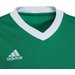 Koszulka juniorska Entrada 22 Jersey Adidas - zielona