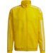 Bluza męska Squadra 21 Presentation Jacket Adidas - żółty