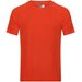 Koszulka męska Ambulo Regatta - rusty orange