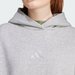 Bluza damska ALL SZN Fleece Loose Adidas - szara