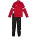 Dres juniorski teamRISE Puma - Red-Black