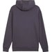 Bluza męska Rad Cal Hooded Half Zip DK Puma - Galactic Gray