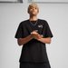 Koszulka męska Graphics Drive-In Relaxed Tee Puma - Black