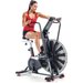 Rower powietrzny Airdyne AD8 Schwinn