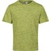 Koszulka męska Fingal Edition Regatta - green alque