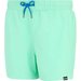 Spodenki kąpielowe męskie Mawson III Regatta - ice green/sonic blue