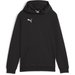 Bluza juniorska TeamGOAL Casuals Hoody Jr Puma - Black