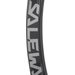 Karabinek Ortles Straight Salewa